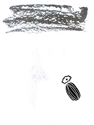 a black colored ink stroke with an acorn