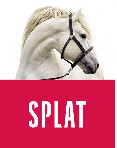 white shy horsey behind the splat logo