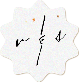 V and S small logo