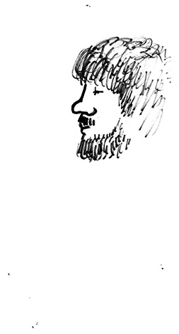 the bearded portrait