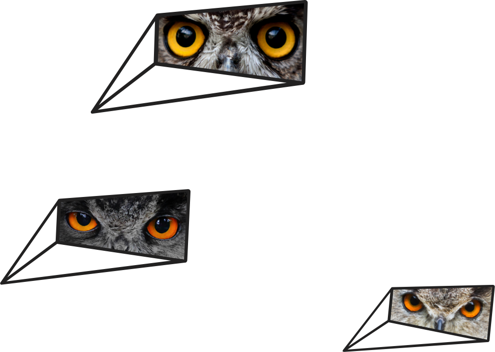 three owls by the few orange lights